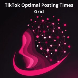TikTok Optimal Posting Times Grid